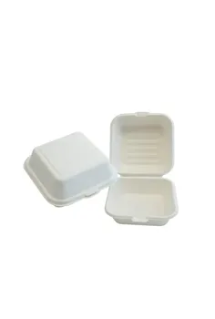 אריזת בנטו 15*15